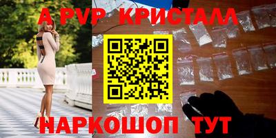гашик Будённовск